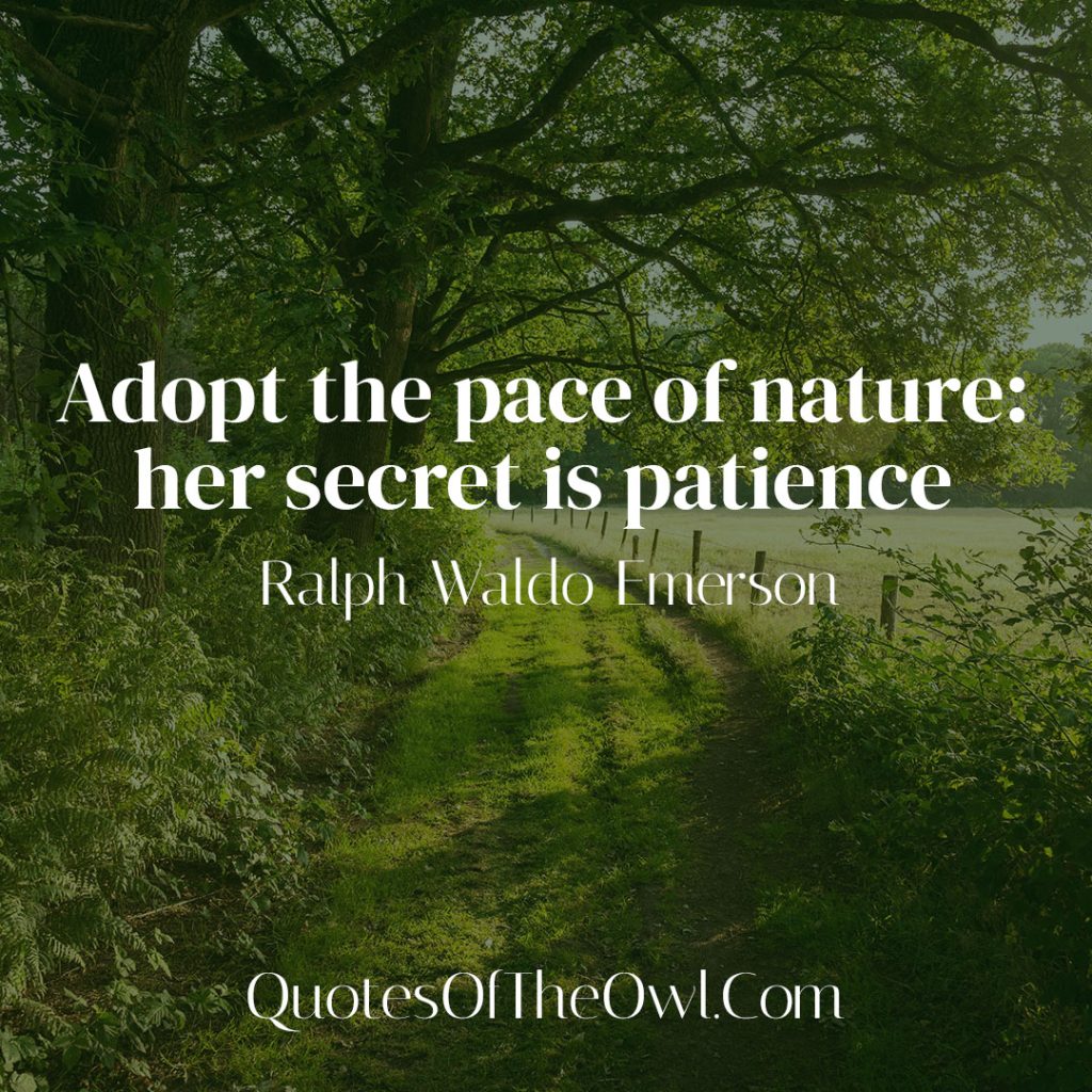 Adopt the pace of nature: her secret is patience - Ralph Waldo Emerson ...