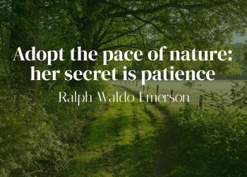 Adopt the pace of nature: her secret is patience - Ralph Waldo Emerson Quote Meaning