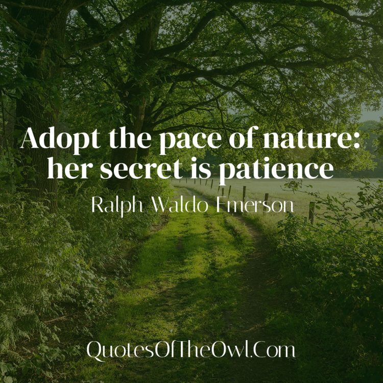 Adopt the pace of nature: her secret is patience - Ralph Waldo Emerson Quote Meaning