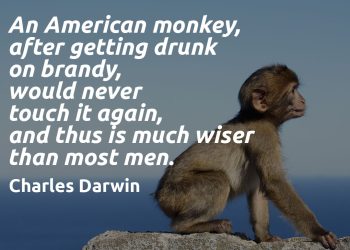 An American monkey after getting drunk on brandy, would never touch it again and thus is much wiser than most men - Charles Darwin