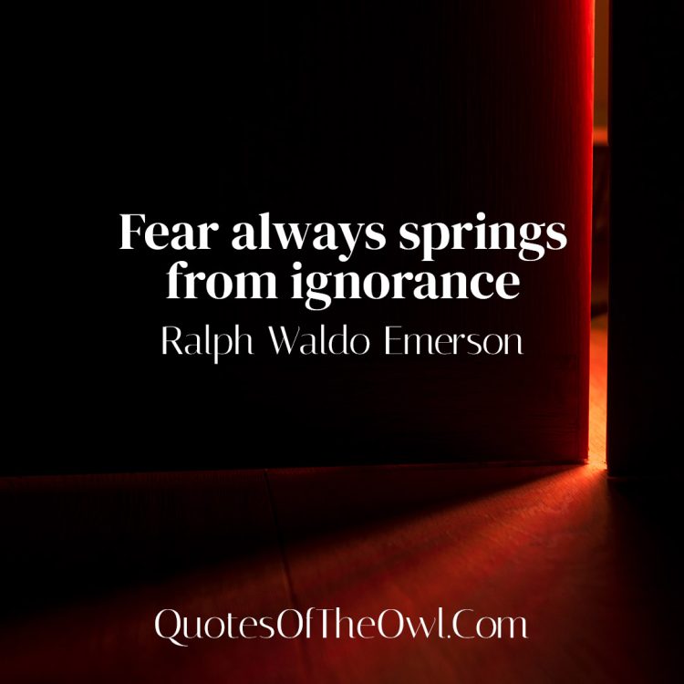 Fear always springs from ignorance - Ralph Waldo Emerson Quote Meaning