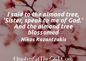 I said to the almond tree Sister speak to me of God And the almond tree blossomed Nikos Kazantzakis Quote with Image and Meaning Explaination
