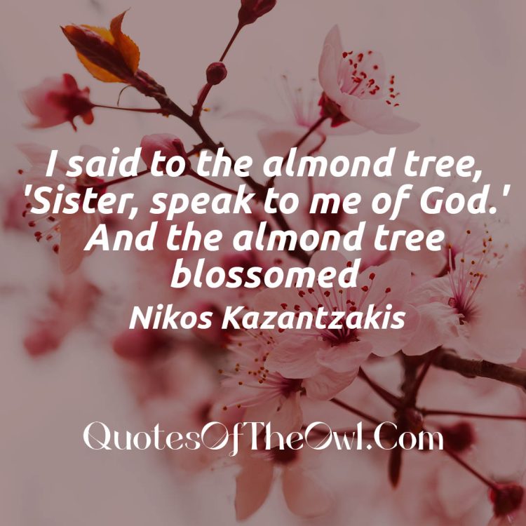 I said to the almond tree Sister speak to me of God And the almond tree blossomed Nikos Kazantzakis Quote with Image and Meaning Explaination