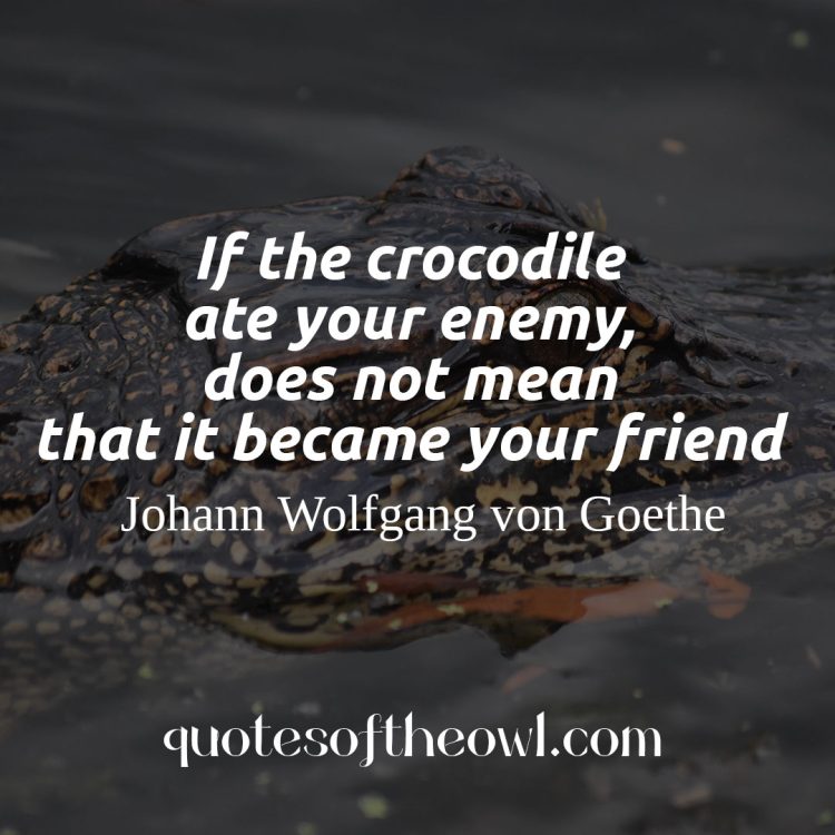 If the crocodile ate your enemy, does not mean that it became your friend