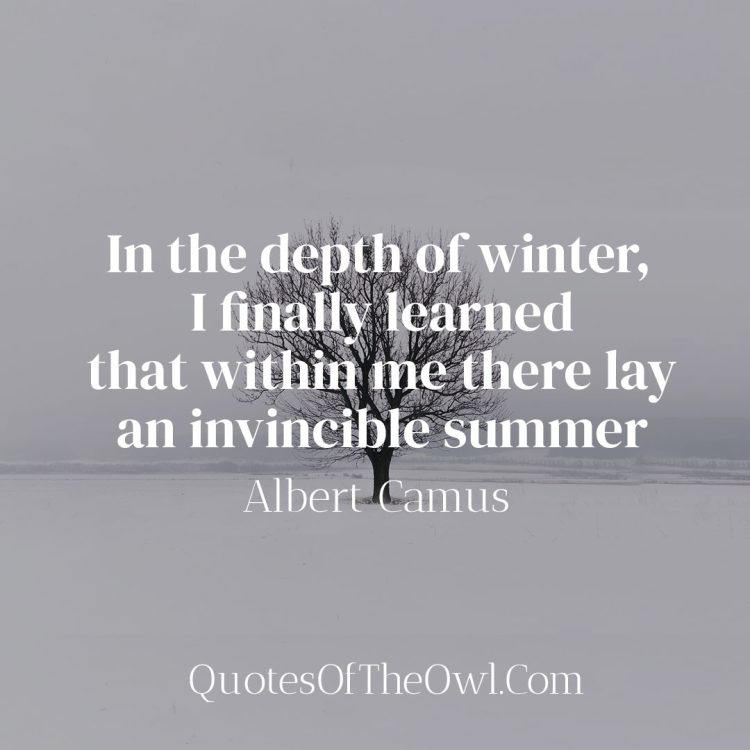 In the depth of winter I finally learned that within me there lay an invincible summer - Albert Camus Quote Meaning