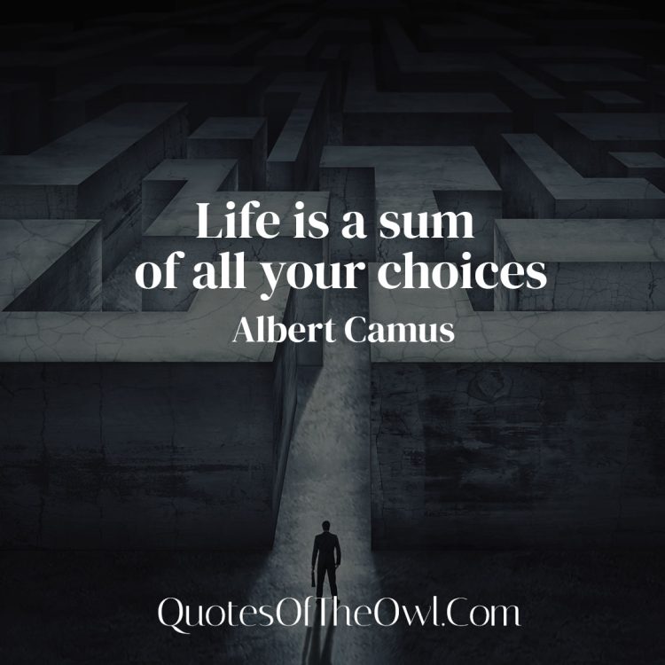 Life is a sum of all your choices - Albert Camus Quote Meaning