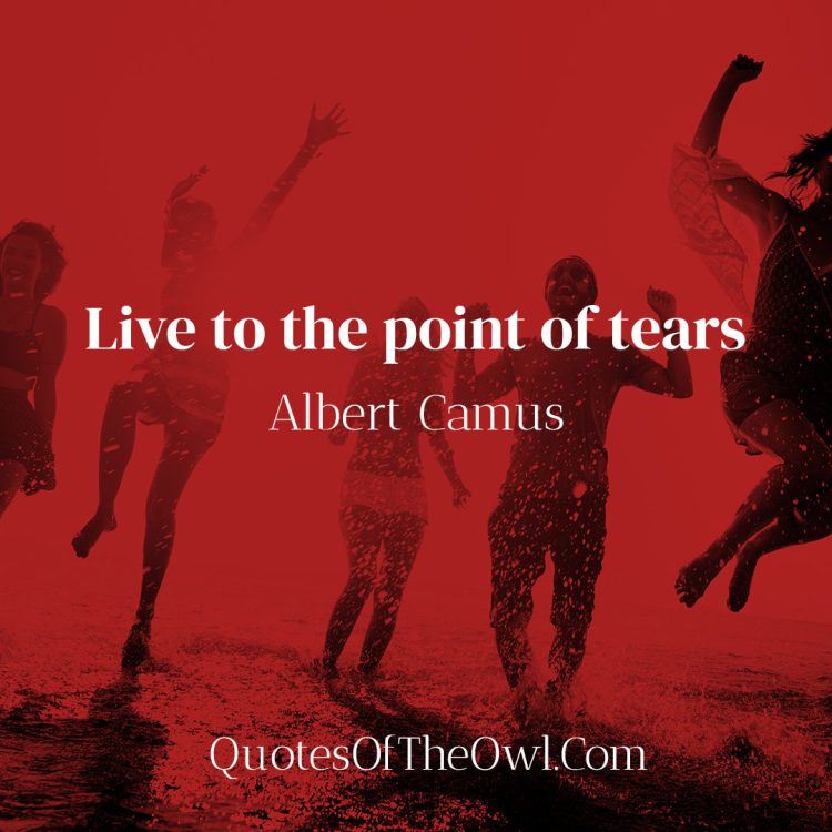 Live to the point of tears - Albert Camus Quote Meaning
