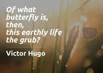 Of what butterfly is then this earthly life the grub - Victor Hugo Quote Meaning