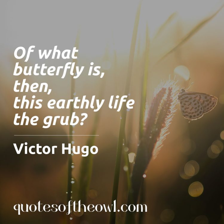 Of what butterfly is then this earthly life the grub - Victor Hugo Quote Meaning