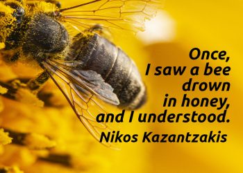 Once, I saw a bee drown in honey, and I understood - Nikos Kazantzakis Quote Meaning Explain
