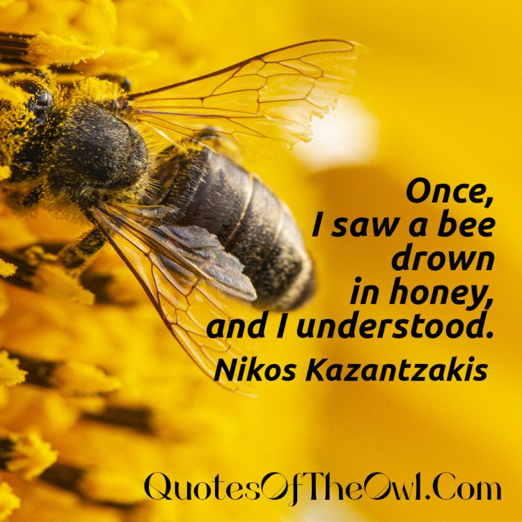 Once, I saw a bee drown in honey, and I understood - Nikos Kazantzakis Quote Meaning Explain