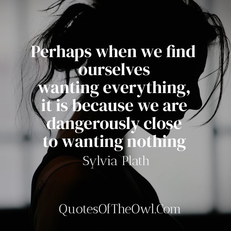 Perhaps when we find ourselves wanting everything it is because we are dangerously close to wanting nothing - Sylvia Plath Quote Meaning