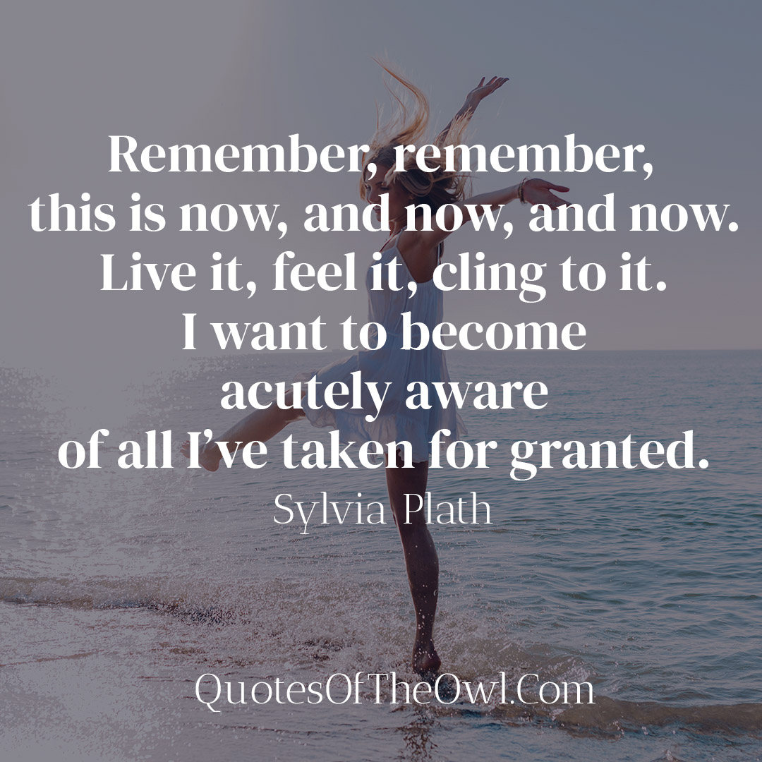 Remember, remember, this is now, and now, and now - Sylvia Plath Quote Meaning