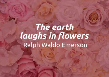 Ralph Waldo Emerson 'The earth laughs in flowers' Quote Meaning Explained