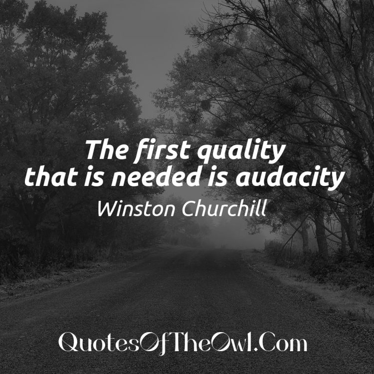 The first quality that is needed is audacity - Winston Churchill Quote Meaning Explained