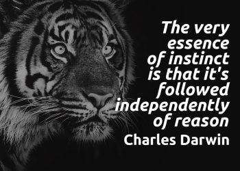 The very essence of instinct is that it's followed independently of reason