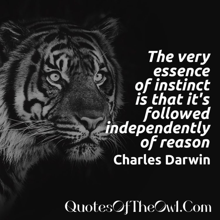 The very essence of instinct is that it's followed independently of reason