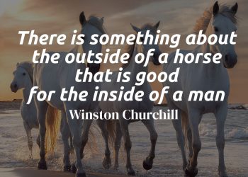 There is something about the outside of a horse that is good for the inside of a man - Winston Churchill