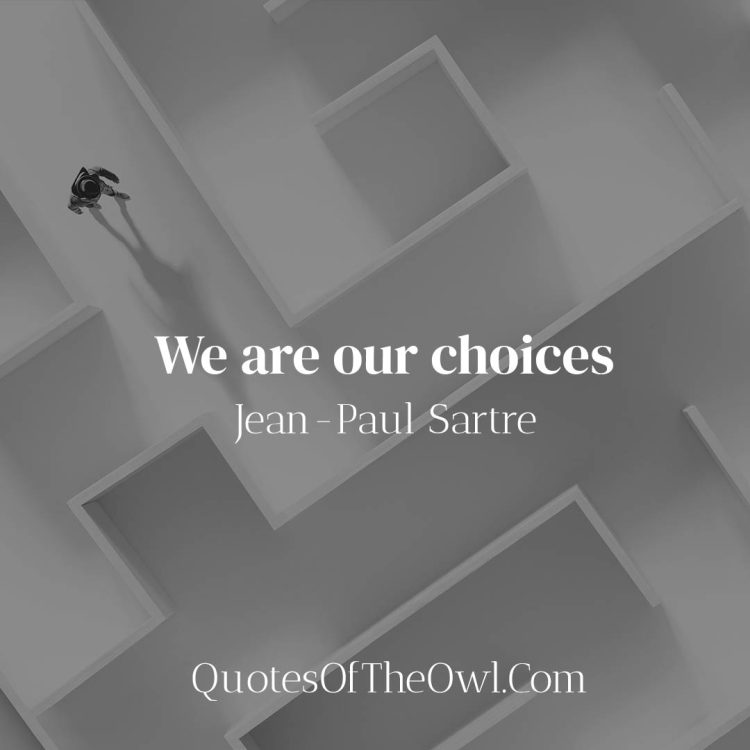 We are our choices - Jean-Paul Sartre Quote Meaning