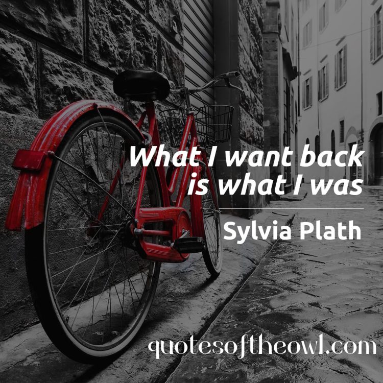 What I want back is what I was - Sylvia Plath quote meaning
