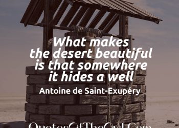 What makes the desert beautiful is that somewhere it hides a well - Antoine De Saint-Exupery Quote Meaning Explained