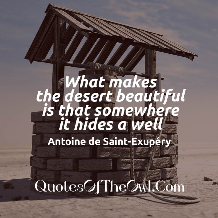What makes the desert beautiful is that somewhere it hides a well - Antoine De Saint-Exupery Quote Meaning Explained