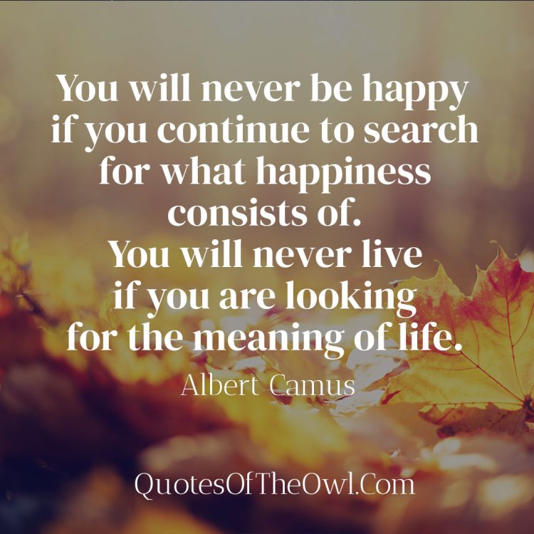 You will never be happy if you continue to search for what happiness consists of You will never live if you are looking for the meaning of life - Albert Camus Quote Meaning