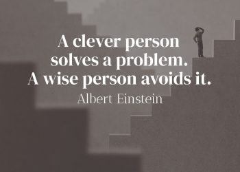 A clever person solves a problem A wise person avoids it - Albert Einstein