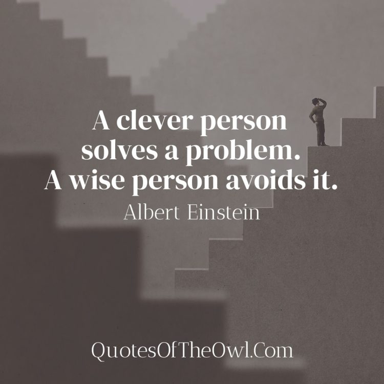 A clever person solves a problem A wise person avoids it - Albert Einstein