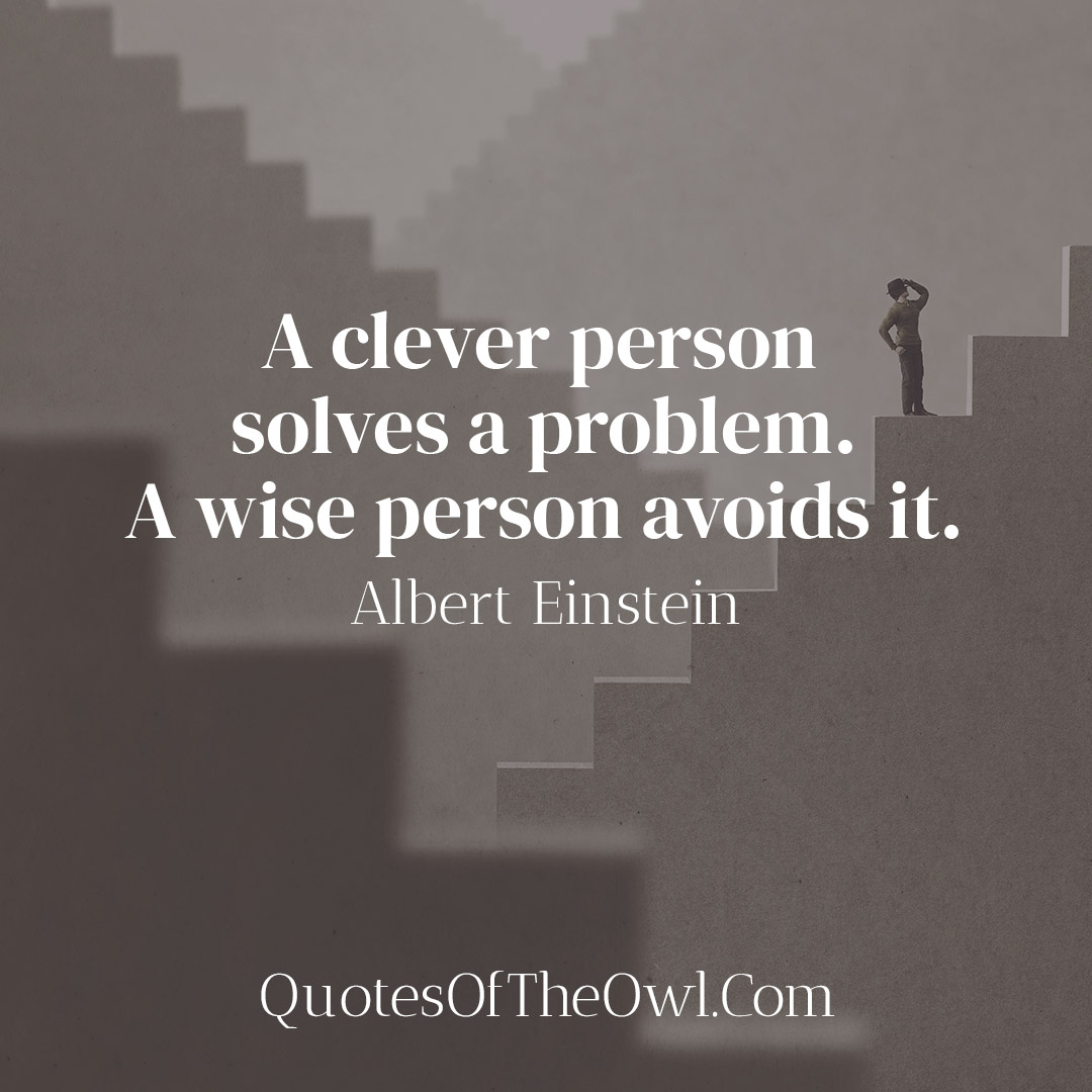 a-clever-person-solves-a-problem-a-wise-person-avoids-it-albert