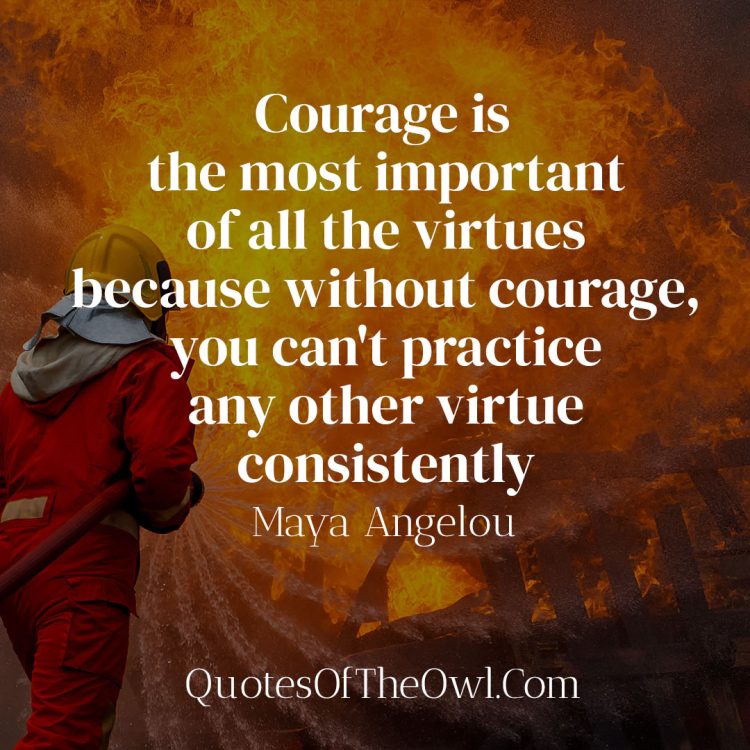 Courage is the most important of all the virtues because without courage, you can't practice any other virtue consistently - Maya Angelou