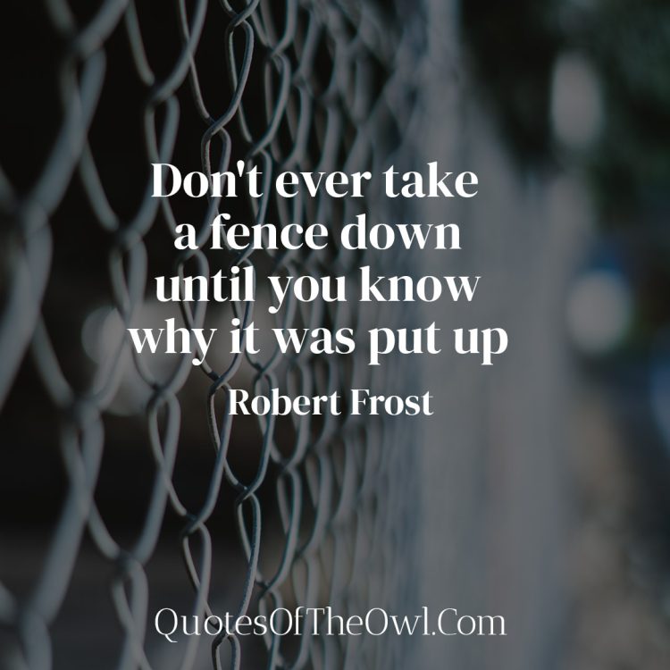 Don't ever take a fence down until you know why it was put up - Robert Frost