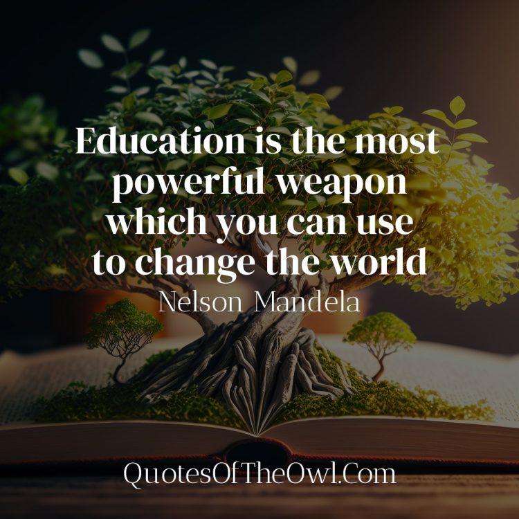 Education is the most powerful weapon which you can use to change the world - Nelson Mandela Quote Meaning
