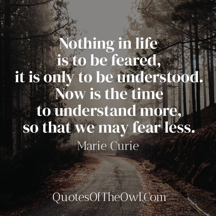 Nothing in life is to be feared it is only to be understood Now is the time to understand more so that we may fear less - Marie Curie