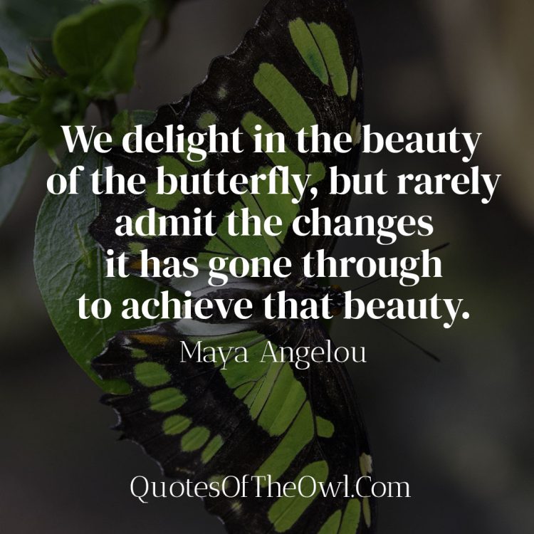We delight in the beauty of the butterfly, but rarely admit the changes it has gone through to achieve that beauty - Maya Angelou Quote Meaning