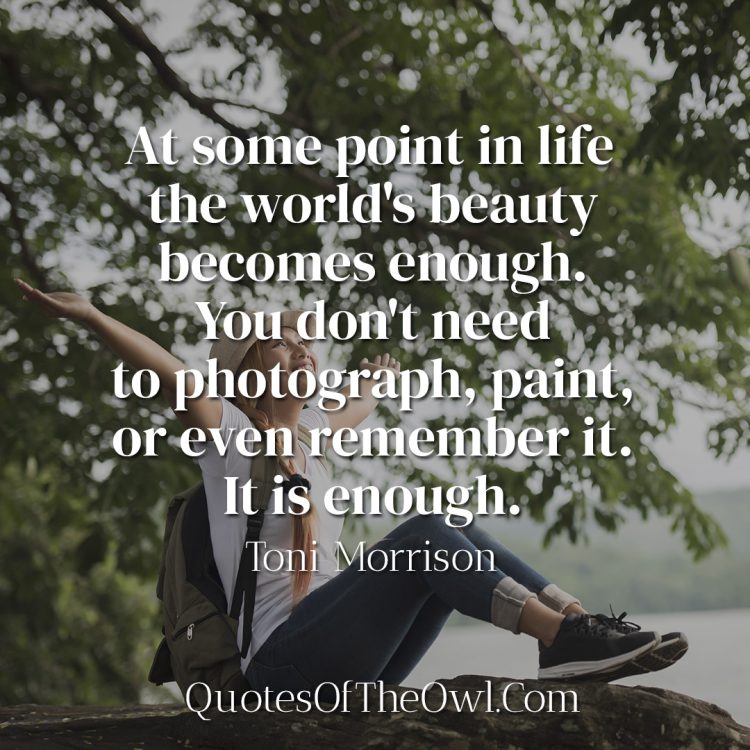 At some point in life the world's beauty becomes enough You don't need to photograph, paint, or even remember it It is enough. - Toni Morrison
