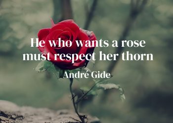He who wants a rose must respect her thorn - qUOTE mEANING- Andre Gide
