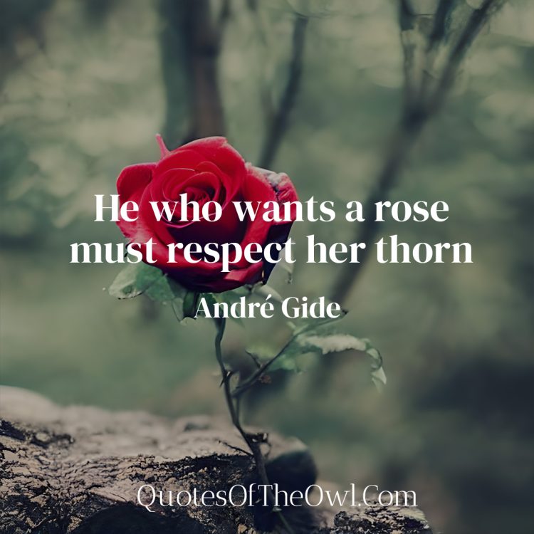 He who wants a rose must respect her thorn - qUOTE mEANING- Andre Gide