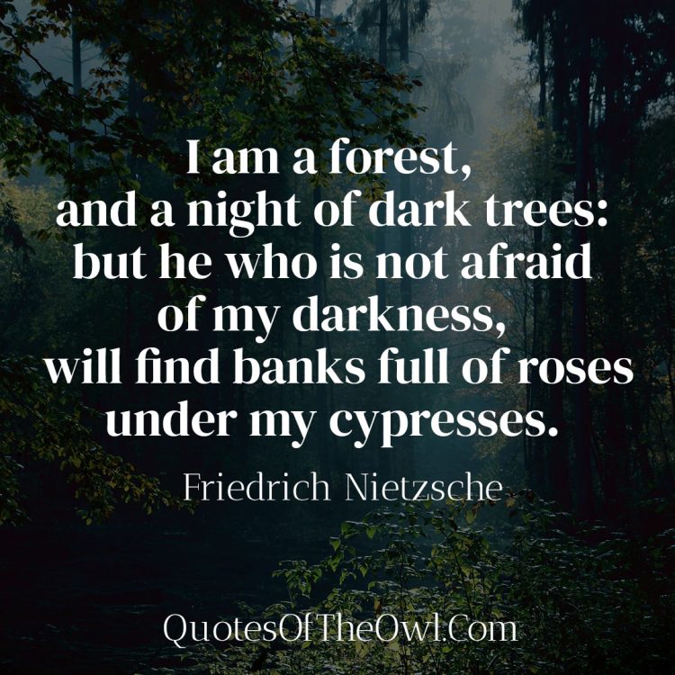 I am a forest, and a night of dark trees but he who is not afraid of my darkness will find banks full of roses under my cypresses - Friedrich Nietzche