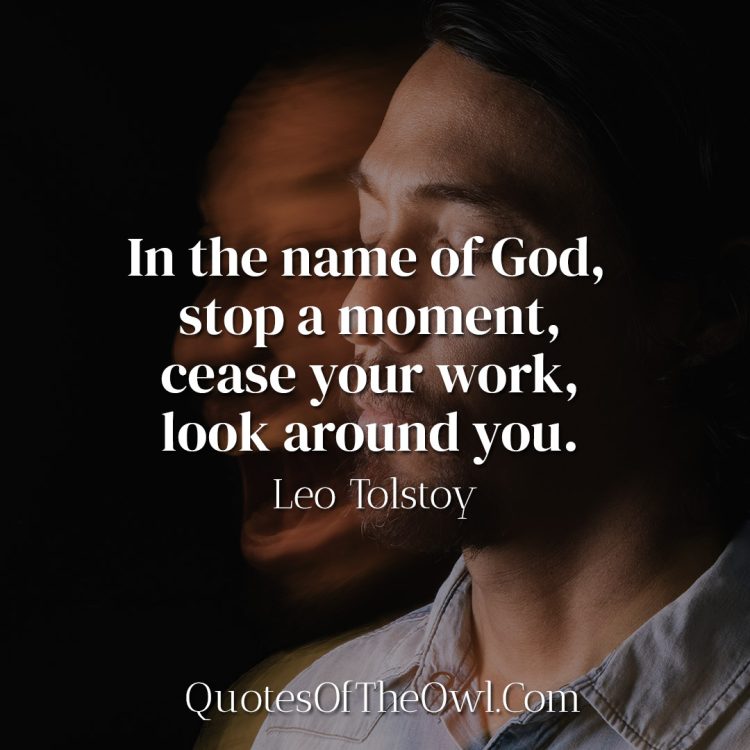 In the name of God, stop a moment, cease your work, look around you - Leo Tolstoy