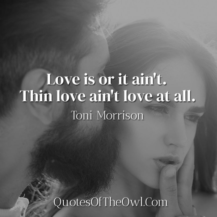 Love is or it ain't Thin love ain't love at all - Toni Morrison