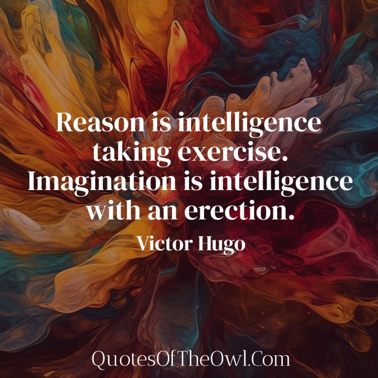 Reason is intelligence taking exercise Imagination is intelligence with an erection - Victor Hugo