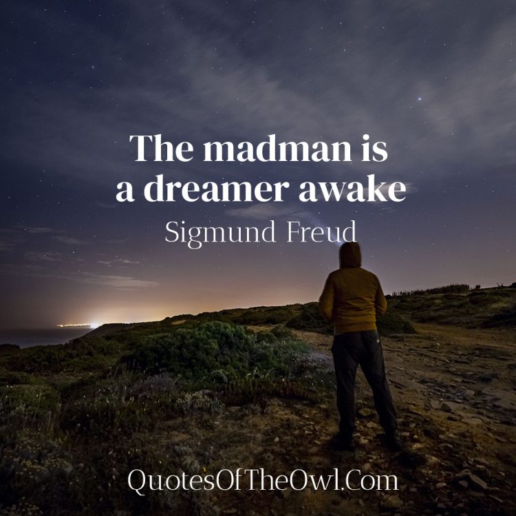 The madman is a dreamer awake - Sigmund Freud - Quote Meaning