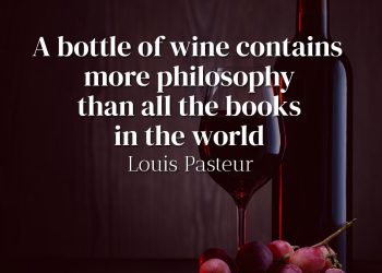 A bottle of wine contains more philosophy than all the books in the world - Louis Pasteur