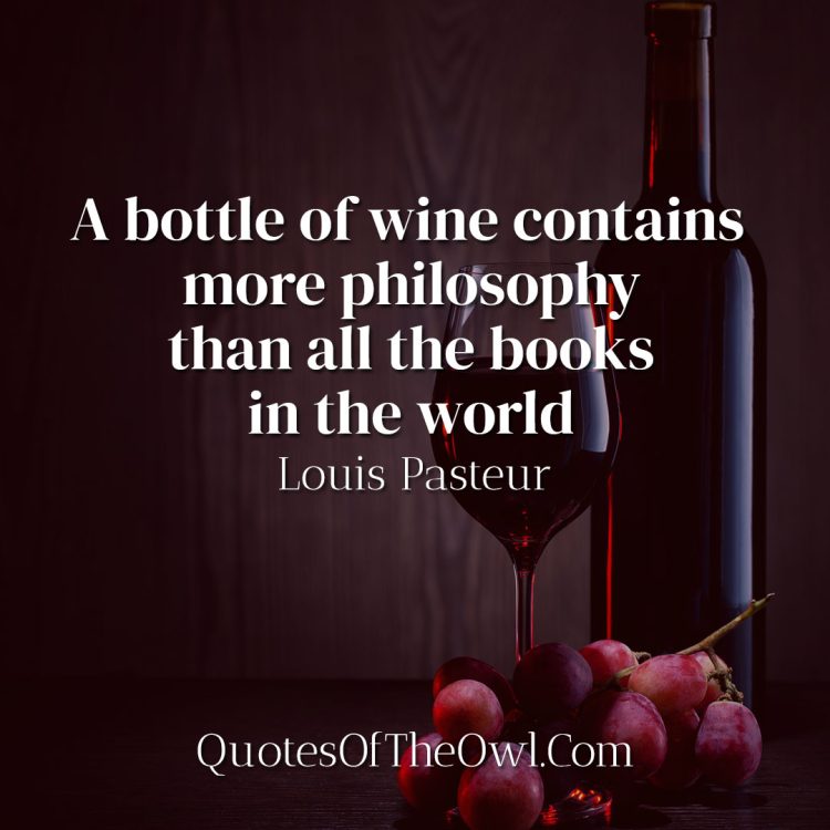 A bottle of wine contains more philosophy than all the books in the world - Louis Pasteur