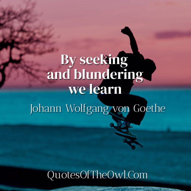 By seeking and blundering we learn - Goethe