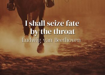 I shall seize fate by the throat - Ludwig van Beethoven