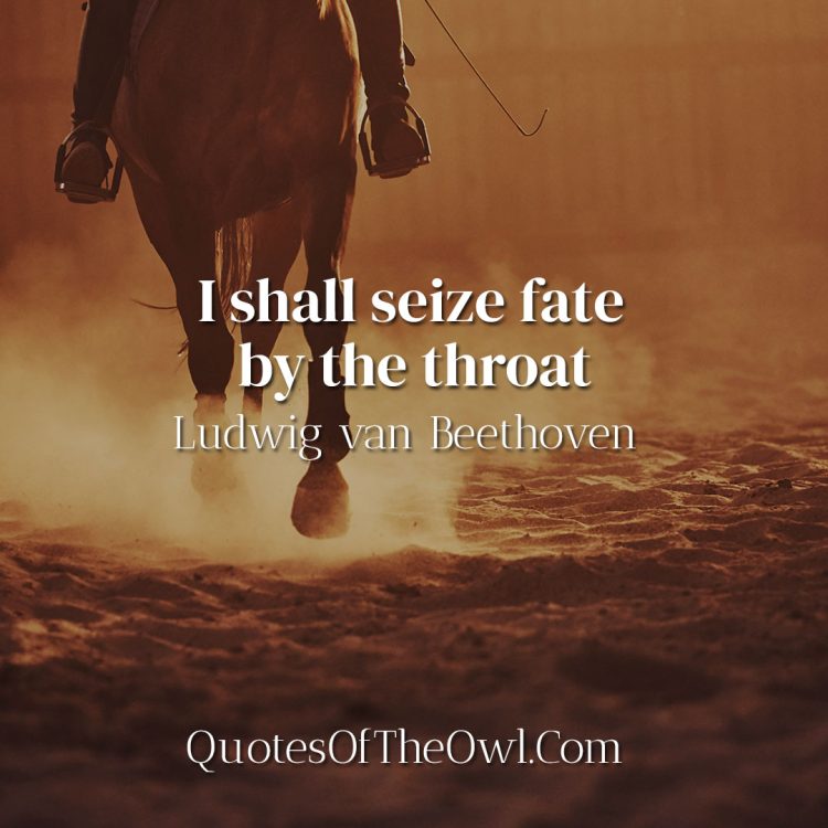 I shall seize fate by the throat - Ludwig van Beethoven