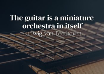 The guitar is a miniature orchestra in itself - Ludwig van Beethoven