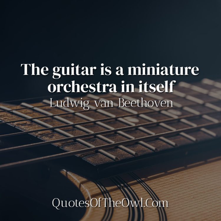 The guitar is a miniature orchestra in itself - Ludwig van Beethoven